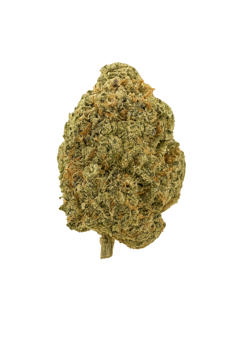 imgi_6_BL4zQG3o7BSOVm7GJHZqwWxDmeFSRr3VhLU5aufZ